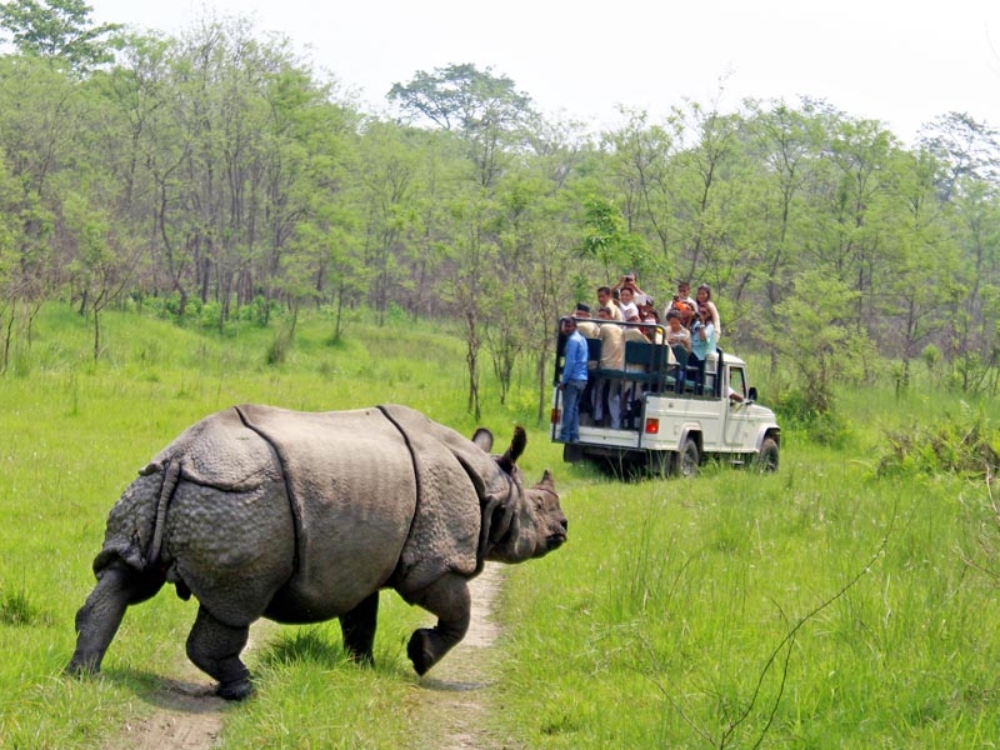 chitwan