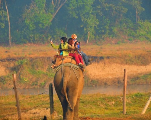 Chitwan Elephant Riding