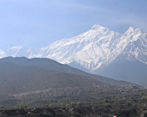 Mesmerizing Beauty Of Mustang