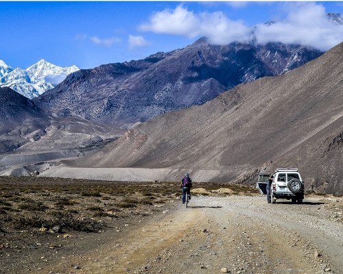 Mustang Uniquel Landscape